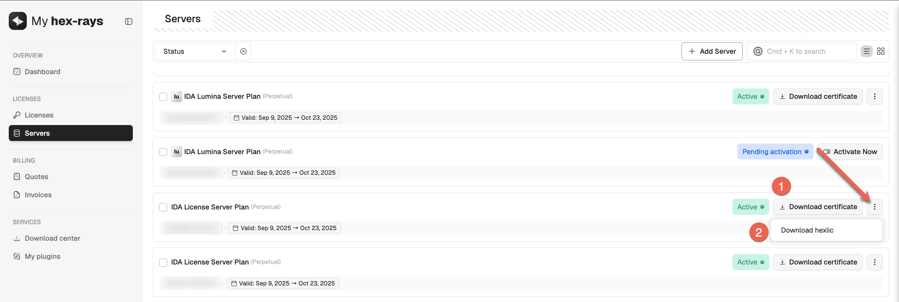 Active server licenses